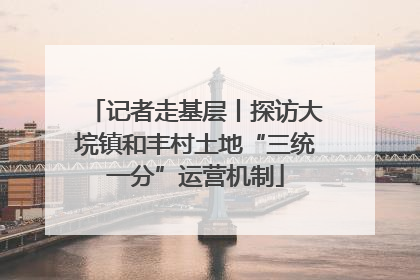 记者走基层丨探访大垸镇和丰村土地“三统一分”运营机制