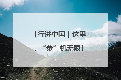 行进中国｜这里，“参”机无限
