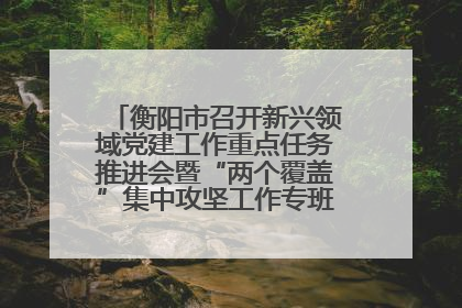 衡阳市召开新兴领域党建工作重点任务推进会暨“两个覆盖”集中攻坚工作专班 第一次会议