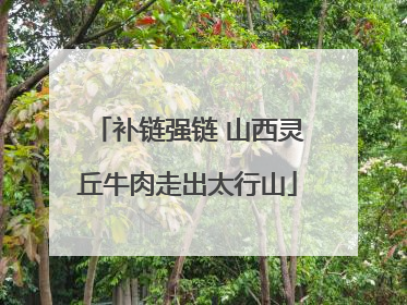 补链强链 山西灵丘牛肉走出太行山