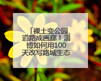 裸土变公园、道路成画廊！淄博如何用100天改写路域生态版图？