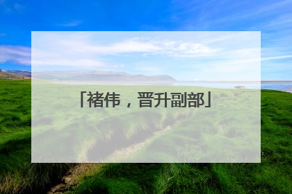 褚伟，晋升副部