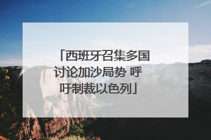 西班牙召集多国讨论加沙局势 呼吁制裁以色列