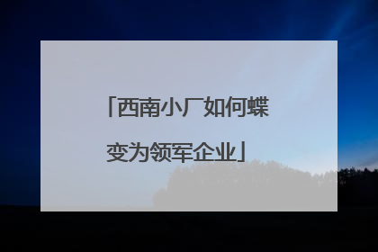 西南小厂如何蝶变为领军企业