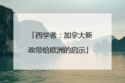 西学者：加拿大新政带给欧洲的启示