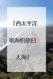 西太平洋斑海豹放归大海
