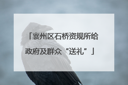 襄州区石桥资规所给政府及群众“送礼”