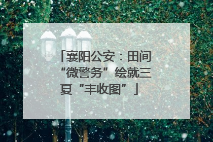 襄阳公安：田间“微警务”绘就三夏“丰收图”