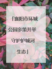 襄阳市环城公园多策并举 守护护城河生态