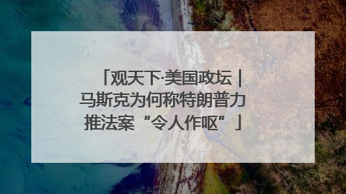 观天下·美国政坛｜马斯克为何称特朗普力推法案“令人作呕”