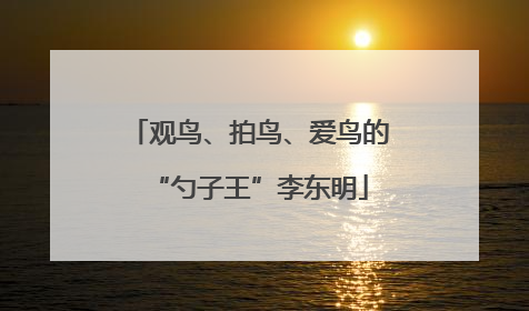 观鸟、拍鸟、爱鸟的“勺子王”李东明
