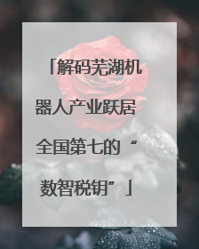 解码芜湖机器人产业跃居全国第七的“数智税钥”