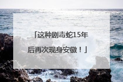 这种剧毒蛇15年后再次现身安徽！