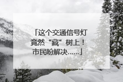 这个交通信号灯竟然“藏”树上！市民盼解决……