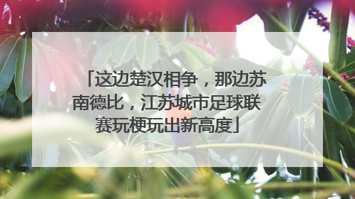这边楚汉相争，那边苏南德比，江苏城市足球联赛玩梗玩出新高度