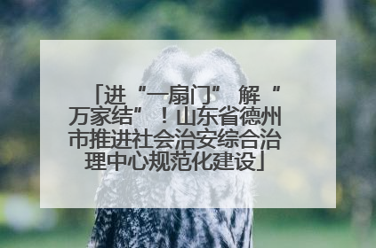 进“一扇门” 解“万家结”！山东省德州市推进社会治安综合治理中心规范化建设