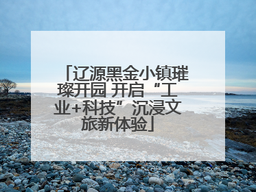 辽源黑金小镇璀璨开园 开启“工业+科技”沉浸文旅新体验