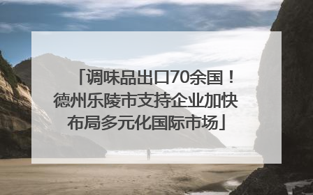 调味品出口70余国！德州乐陵市支持企业加快布局多元化国际市场