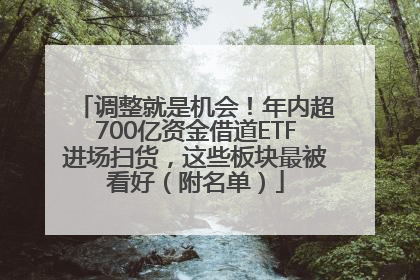 调整就是机会！年内超700亿资金借道ETF进场扫货，这些板块最被看好（附名单）