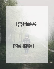 贵州峡谷的动植物