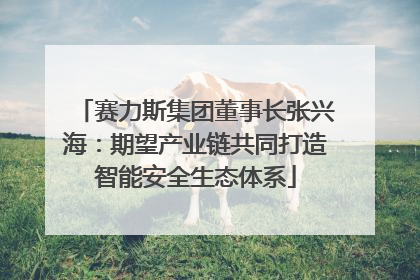 赛力斯集团董事长张兴海：期望产业链共同打造智能安全生态体系