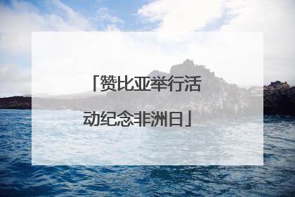 赞比亚举行活动纪念非洲日