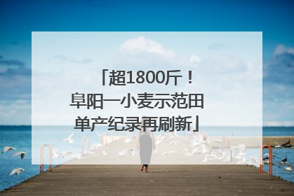 超1800斤！阜阳一小麦示范田单产纪录再刷新