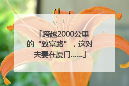 跨越2000公里的“致富路”，这对夫妻在厦门……