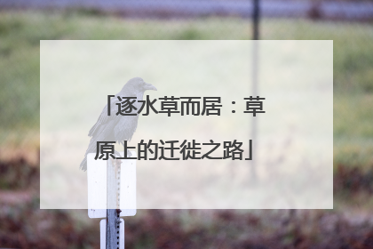 逐水草而居：草原上的迁徙之路
