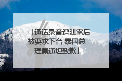 通话录音遭泄露后被要求下台 泰国总理佩通坦致歉