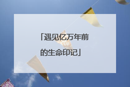 遇见亿万年前的生命印记
