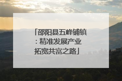 邵阳县五峰铺镇：精准发展产业 拓宽共富之路