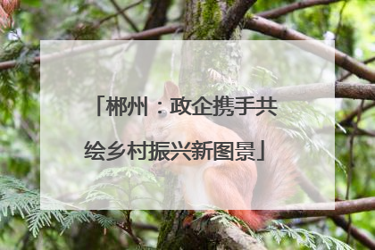 郴州：政企携手共绘乡村振兴新图景