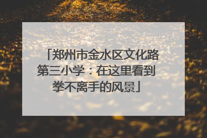 郑州市金水区文化路第三小学：在这里看到拳不离手的风景