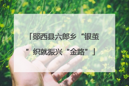 郧西县六郎乡“银茧”织就振兴“金路”