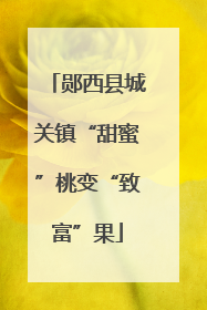 郧西县城关镇“甜蜜”桃变“致富”果