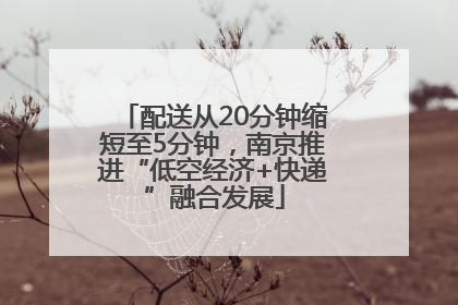配送从20分钟缩短至5分钟，南京推进“低空经济+快递”融合发展