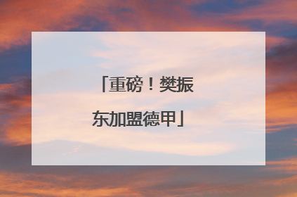 重磅！樊振东加盟德甲