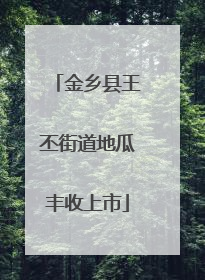 金乡县王丕街道地瓜丰收上市