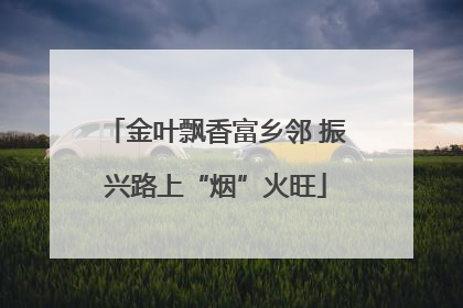 金叶飘香富乡邻 振兴路上“烟”火旺
