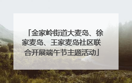 金家岭街道大麦岛、徐家麦岛、王家麦岛社区联合开展端午节主题活动