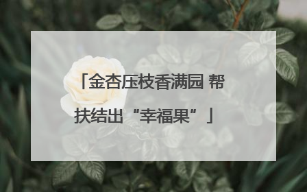 金杏压枝香满园 帮扶结出“幸福果”