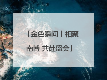 金色瞬间丨相聚南博 共赴盛会