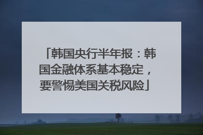 韩国央行半年报：韩国金融体系基本稳定，要警惕美国关税风险
