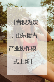 青稞为媒，山东援青产业协作模式上新