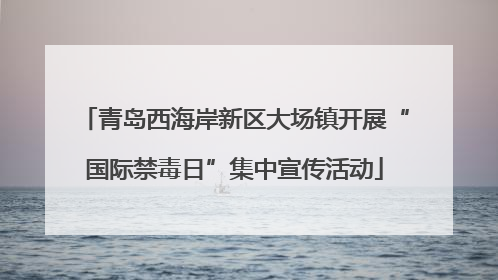 青岛西海岸新区大场镇开展“国际禁毒日”集中宣传活动