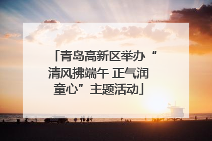 青岛高新区举办“清风拂端午 正气润童心”主题活动
