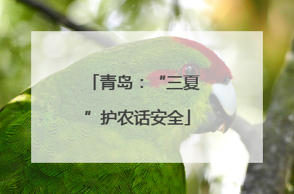青岛：“三夏”护农话安全
