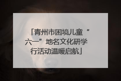青州市困境儿童“六一”地名文化研学行活动温暖启航