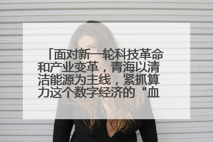 面对新一轮科技革命和产业变革，青海以清洁能源为主线，紧抓算力这个数字经济的“血液”、科技主权的“筹码”、产业升级的“杠杆”、绿色转型的“支点”，勇于撬动国家“双碳”战略、“东数西算”工程重大发展新机遇